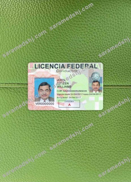 Mexico driving license photolook FRONT